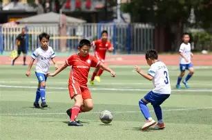 倪萍揭秘减,斤秘诀,合理饮食加,金宝博188bet体育官网,金宝博188bet体育平台,金宝博188bet体育链接,金宝博188bet体育官方