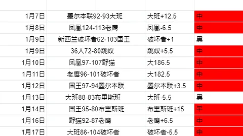 普鲁士明斯特主场迎战柏林赫塔赛事解析